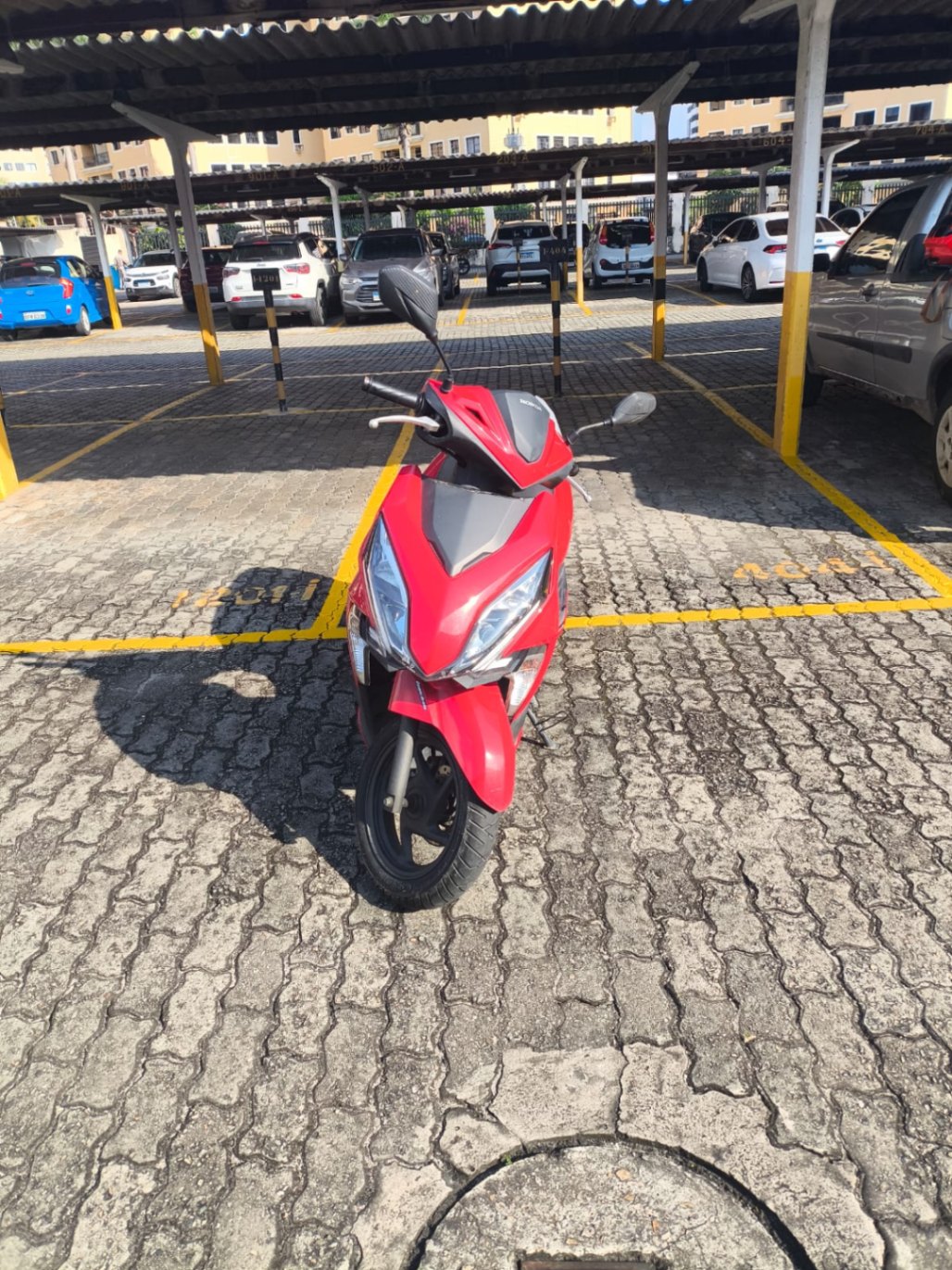 Elite 2021 - miniatura 3