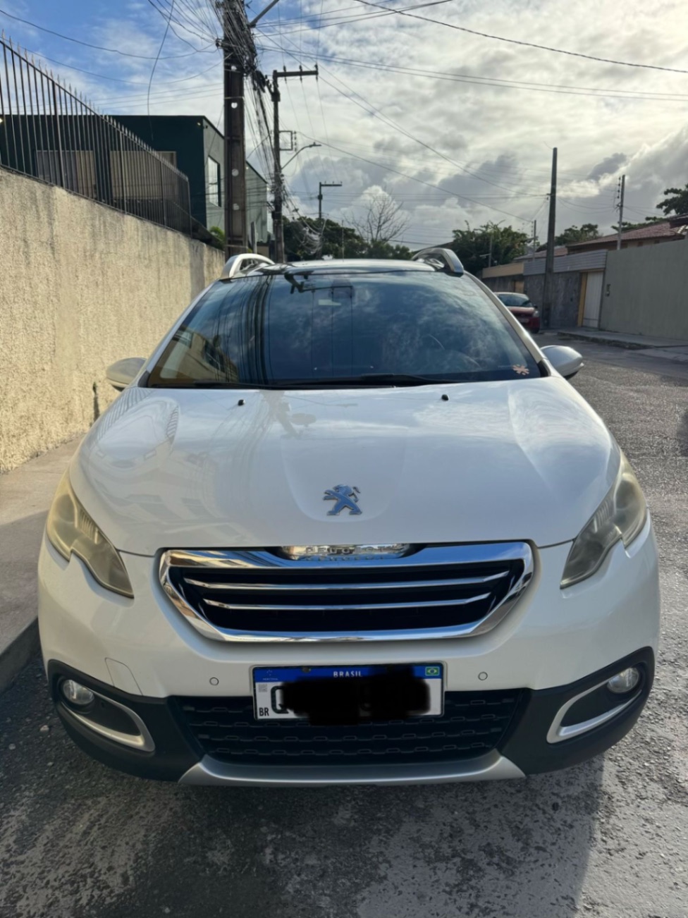 Peugeot 2008 griffe
