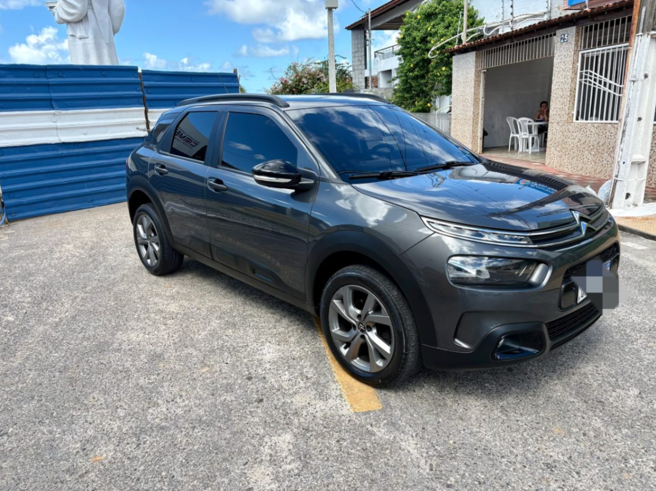 C4 Cactus Feel